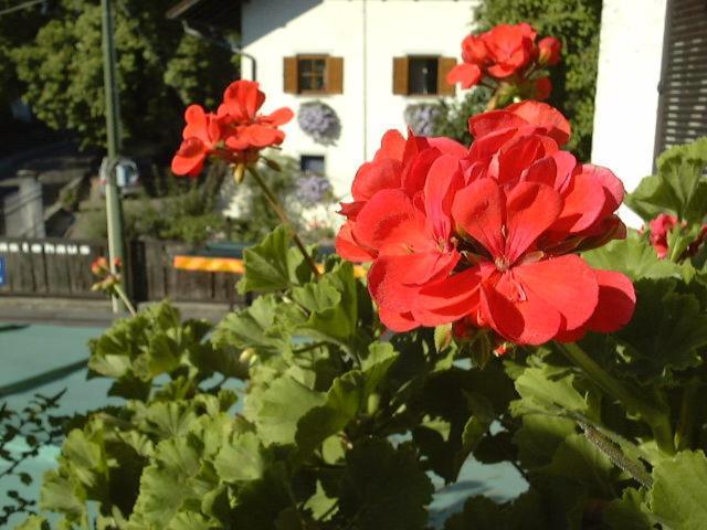 Hotel Gasthof Wastl Appiano Sulla Strada Del Vino Luaran gambar