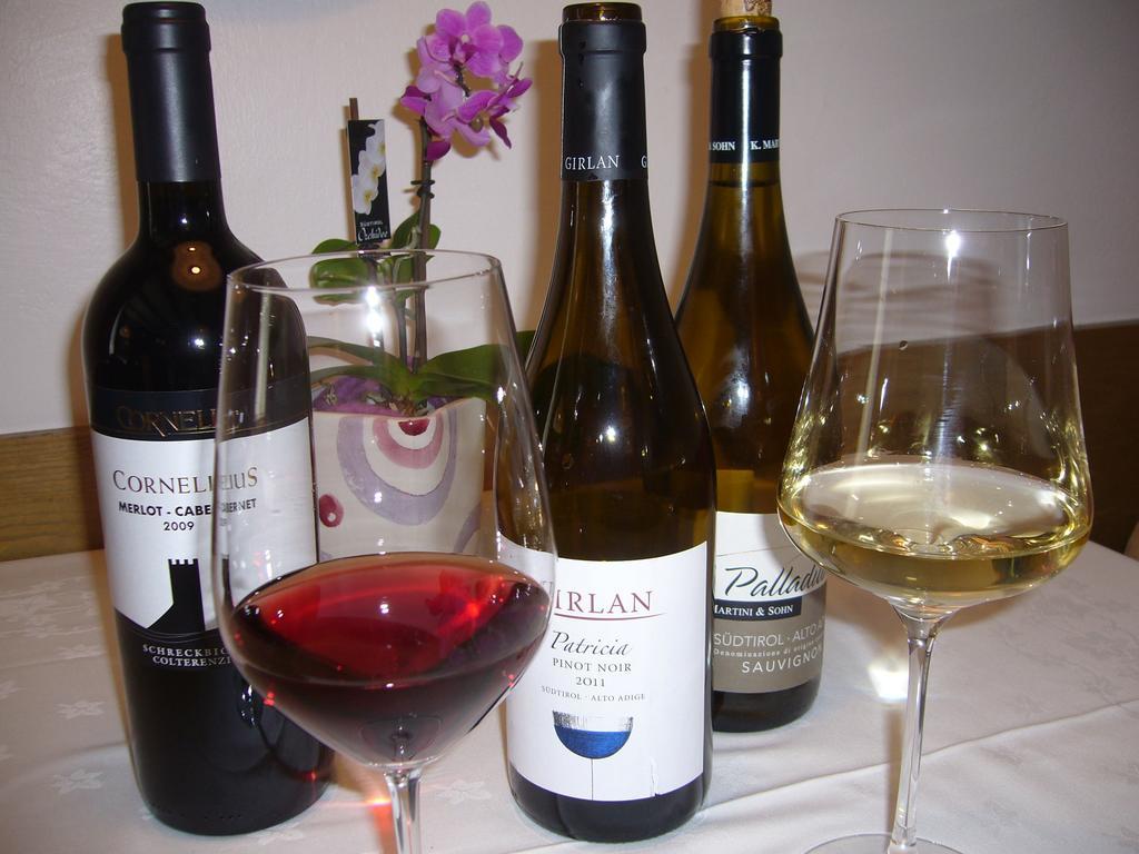 Hotel Gasthof Wastl Appiano Sulla Strada Del Vino Luaran gambar