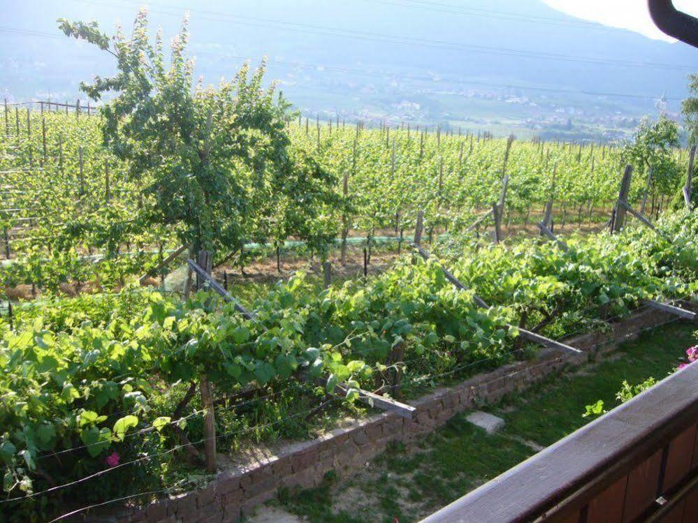 Hotel Gasthof Wastl Appiano Sulla Strada Del Vino Luaran gambar
